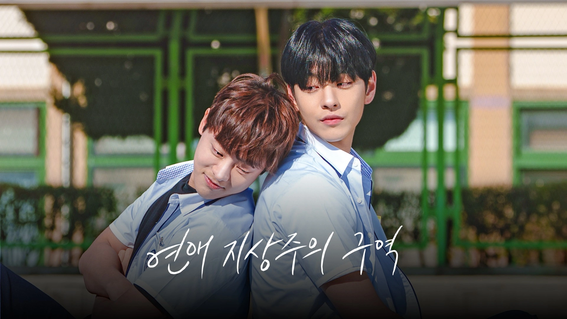 연애 지상주의 구역